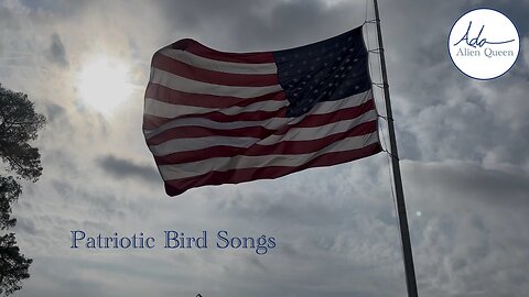 Ada Alien Queen • Bird Songs • Take #00004 • Patriotic Bird Songs