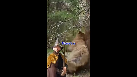 Funky Bear