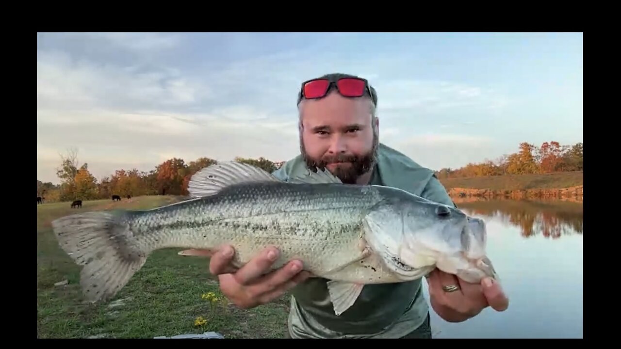 Going Fishing. Bass, Crappie, & Bluegill are the Target