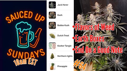 Sauced Up Sundays: #64 The Flavor of Bud