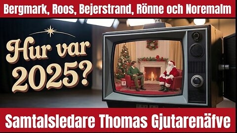 Vad tyckte panelen om 2025?