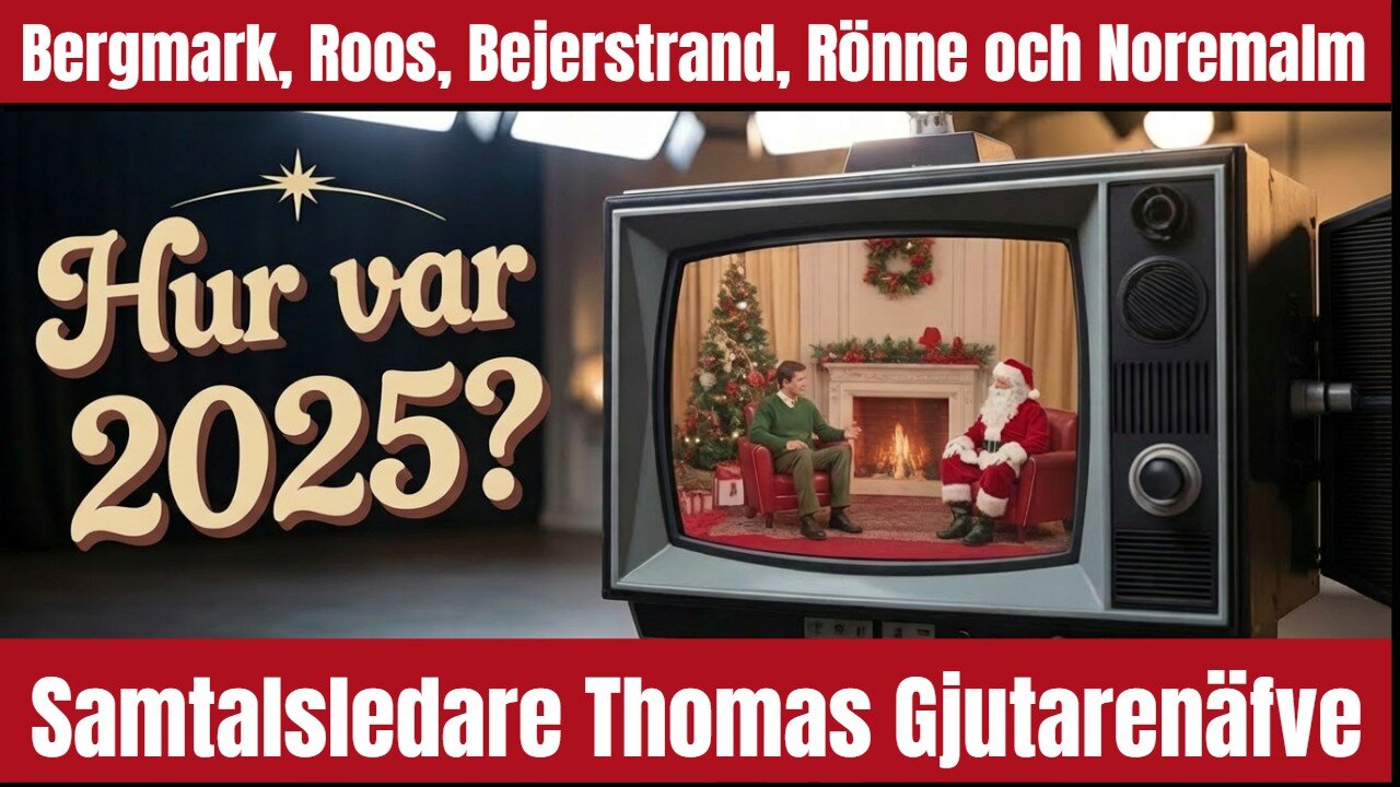 Vad tyckte panelen om 2025?