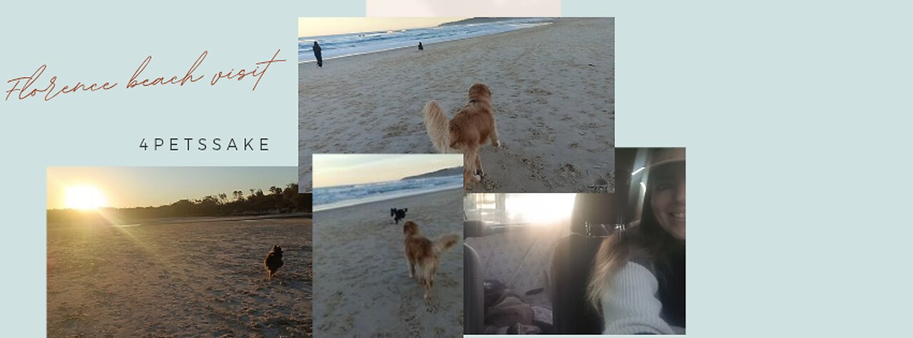 Florence's afternoon at the beach ⛱️😁🤍🐕🐾