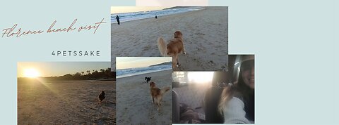 Florence's afternoon at the beach ⛱️😁🤍🐕🐾