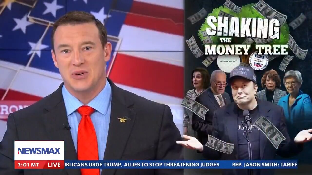 Carl Higbie on politicians lining their pockets