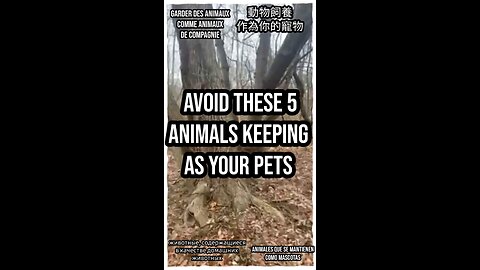 Avoid these five animals as pets due to their wild nature and unique needs. #PetSafety