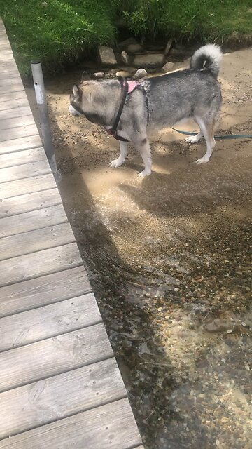 Sunday August 24, The time is coming-in face-it is already here