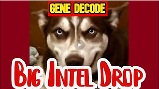 Gene Decode - Huge Intel Drop