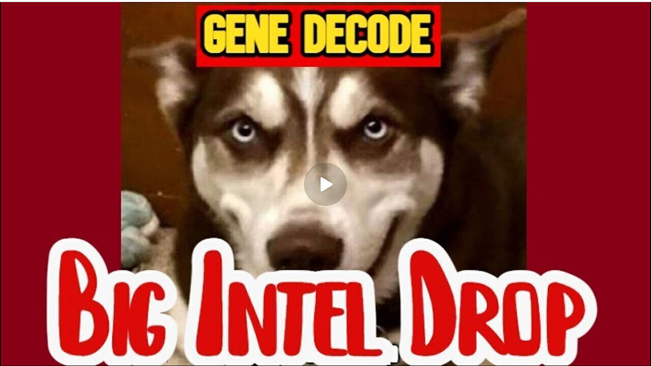 Gene Decode - Huge Intel Drop