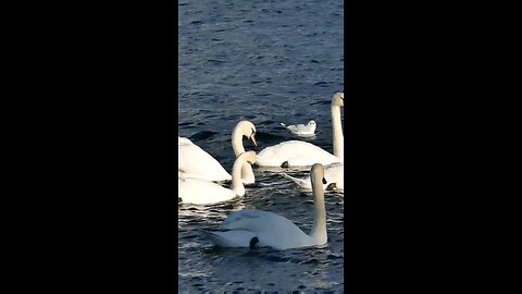 Daily Verse October 29th 2025