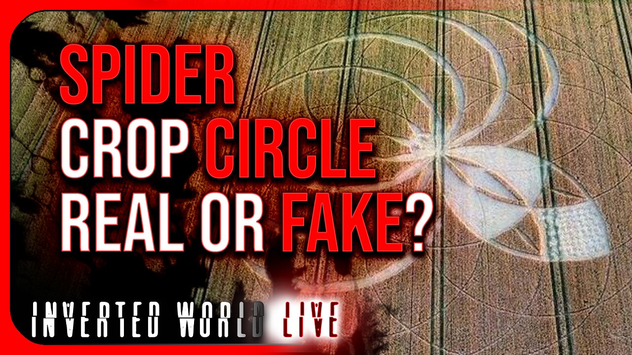 Spider Crop Circle REAL or FAKE?