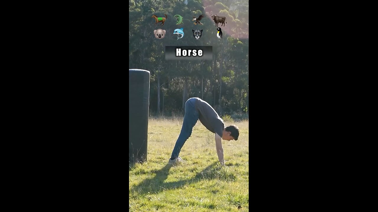 “How Every Animal Fights 😂 Hilarious Impressions by One Guy”