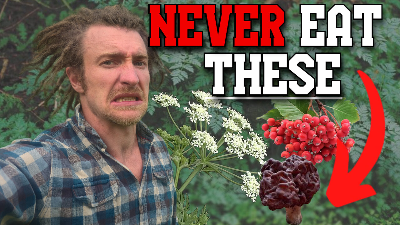 How to ACTUALLY TELL if a Plant is Poisonous | Testing Poisonous Plants | Survival Skills