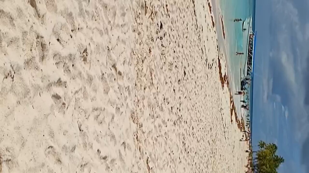 sauna island trip pt2