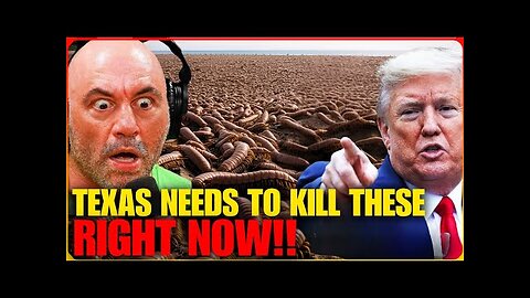 WARNING! TEXAS Must Destroy These 7 Animals At All Cost, You Must See This! Documentary