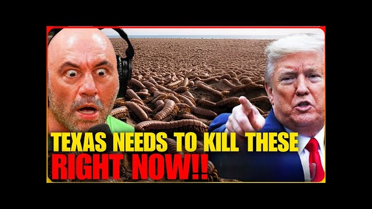 WARNING! TEXAS Must Destroy These 7 Animals At All Cost, You Must See This! Documentary
