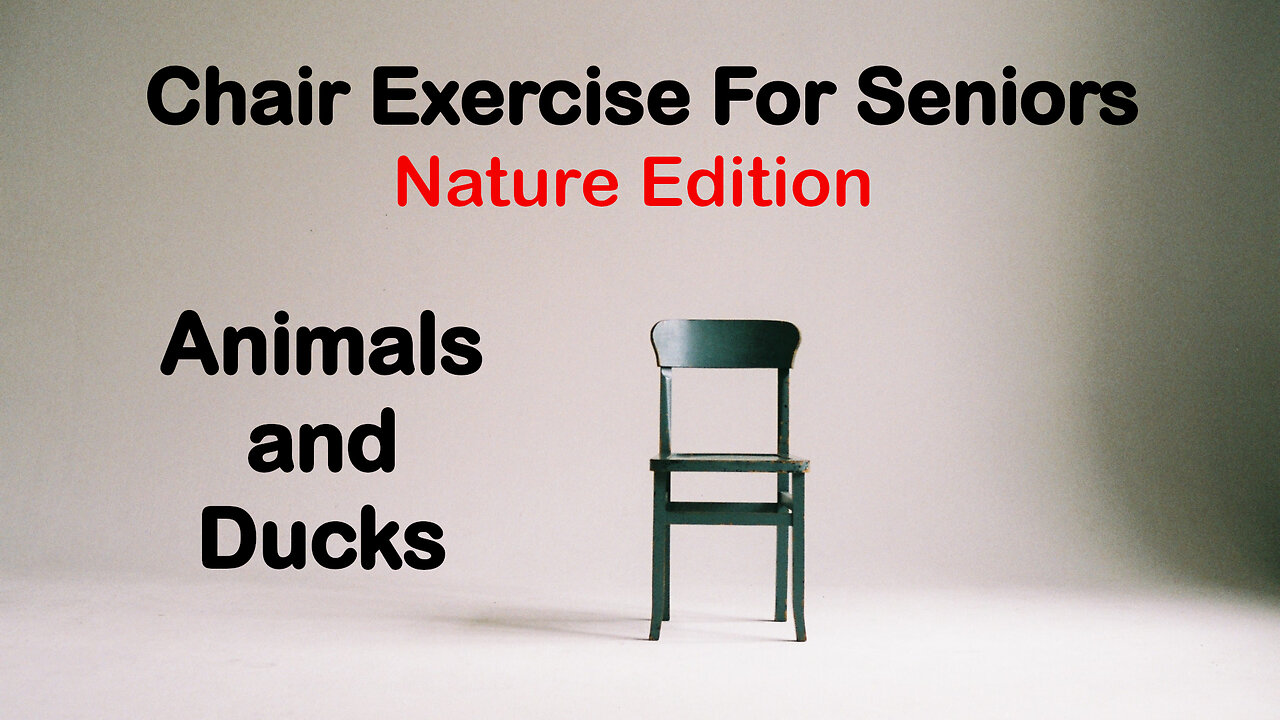 Chair Exercise for Seniors - Animals & Ducks