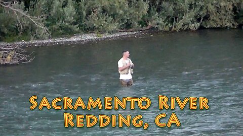 Birds Gone WILD-Sacramento River, Redding, CA Road Trip