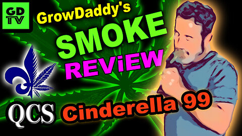 Smoke Review - Quebec Cannabis Seeds - Cinderella 99 - C99 - "Grace" From Season 9