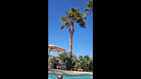 Viago Fest Cabo San Lucas day 1