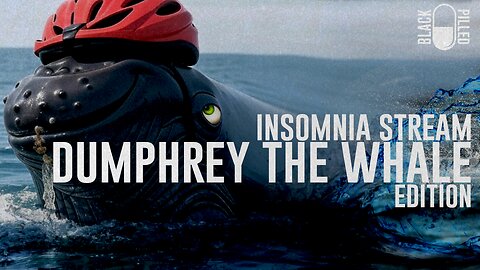 INSOMNIA STREAM: DUMPHREY THE WHALE