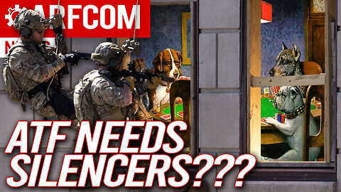 Should ATF Get Silencers??? | Panic Button OR Stop Arresting For Defense | Black Market Iranian Guns