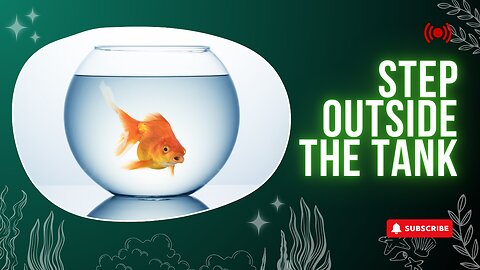 Are You Living in a Fishbowl? Let’s Take a Look.