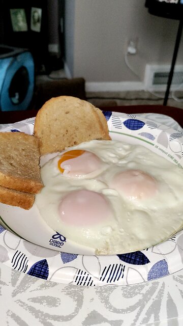 Eating Happy Egg Co. Free Range, Dbn, MI, 12/7/25