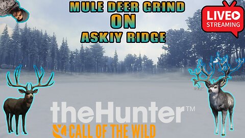 (UPDATE DAY) Mule Deer Grind..... Begins NOW! Askiy Ridge!! Let's Hunt!!! #cotw #hunting #gaming