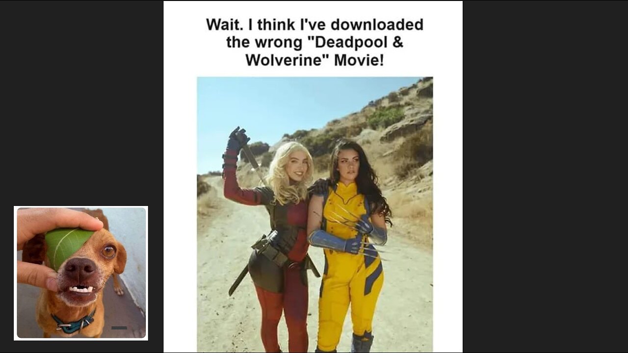 Memes That Will 99.0168% Make You Laugh. (e392)