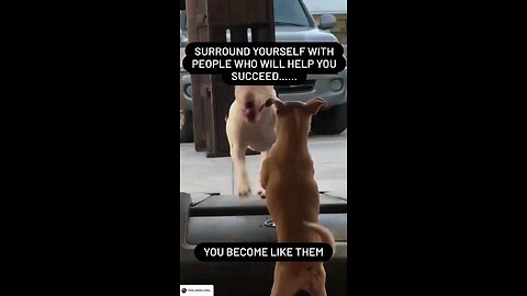 surround yourself with people who will help you