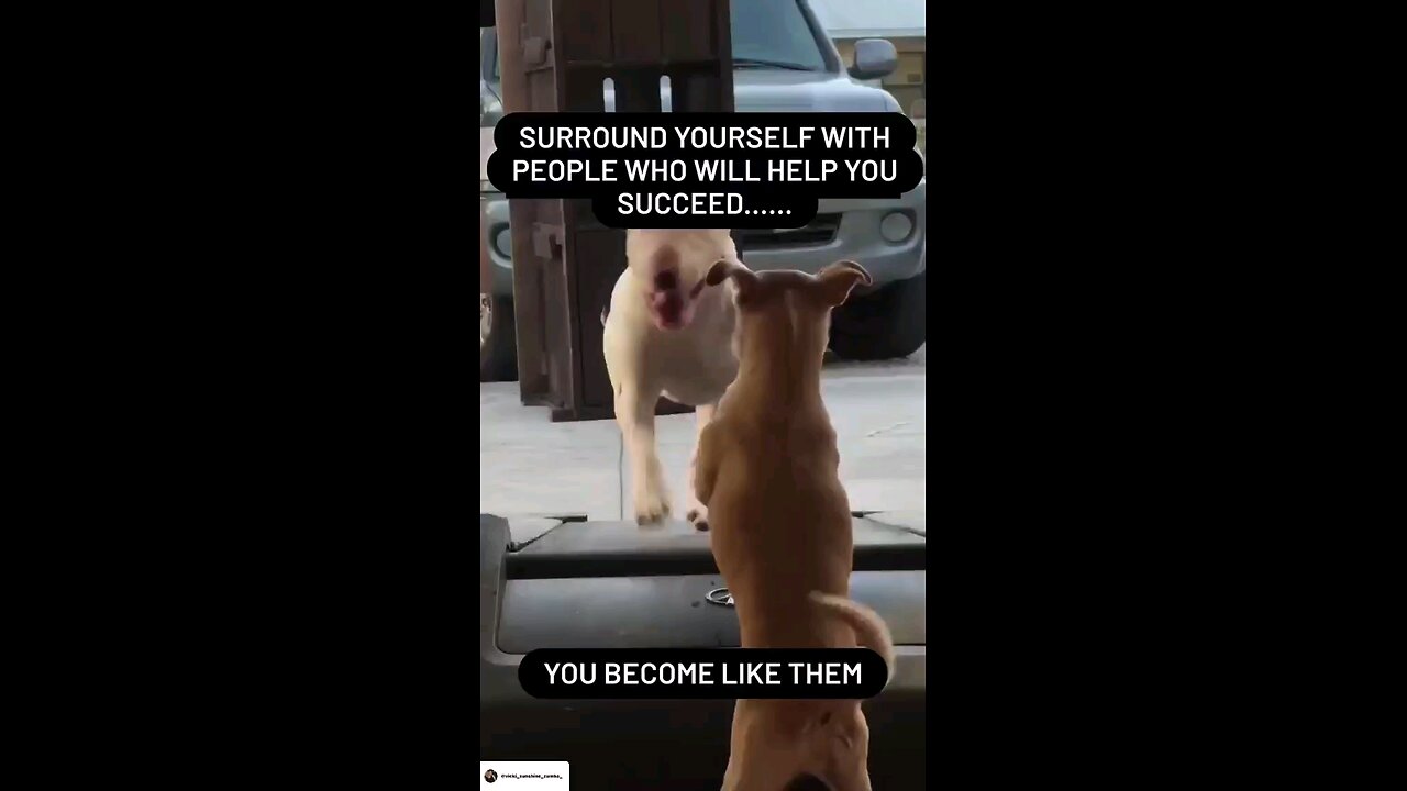 surround yourself with people who will help you