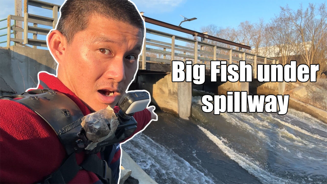 Fishing for Monsters Under Lowell Dam