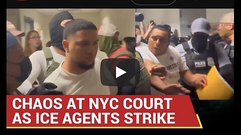 On Cam: Trump’s Border Patrol, ICE Agents Go Berserk Inside New York Court, Bash ‘ILLEGAL ALIENS’