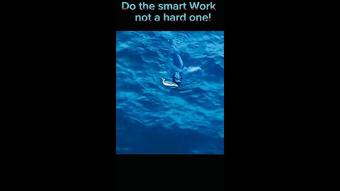 Do the smart work not a hard one…