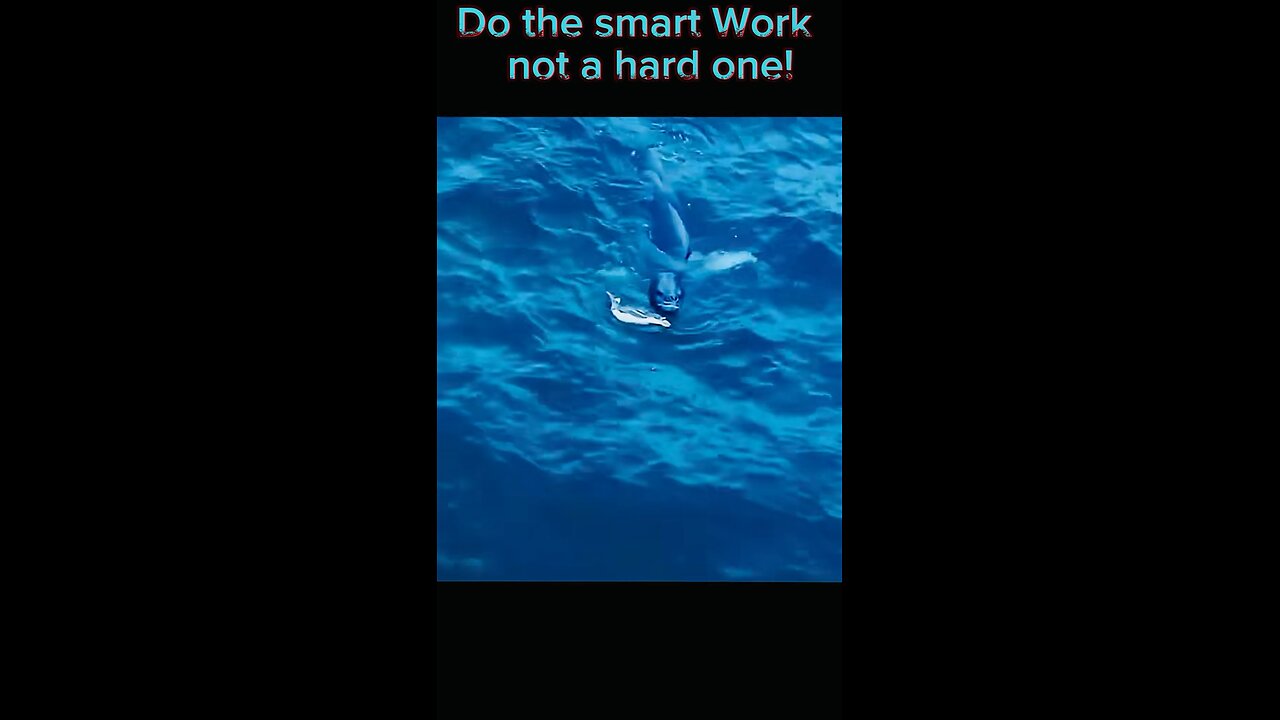 Do the smart work not a hard one…