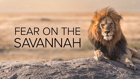 Fear on the Savannah
