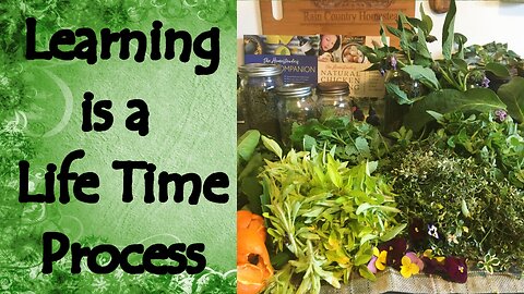 Learning is a Life Time Process