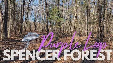 Purple Loop at Spencer Forest, Sunny Spring Hike | Full Hike POV | Nature ASMR | Kent Co, MI