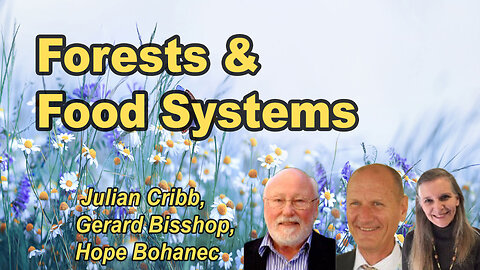 Forests, Food Systems, and Carbon Drawdown Solutions