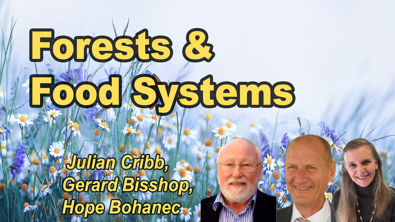 Forests, Food Systems, and Carbon Drawdown Solutions