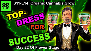 S11-E14 - Day 22 of Flower - Cannabis Grow - Gaia Green Top Dressing in Flower - Mars Hydro FC4000