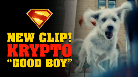 New extending look at Krypto the good boy!