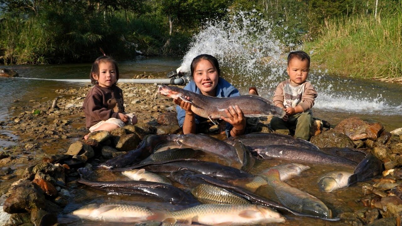 How We Blocked Water to Catch Giant Fish for Market | Single Mom’s Life with Her Son 🐟🔥