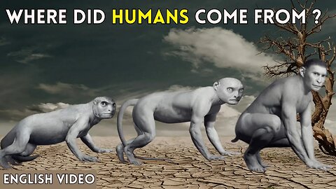 Where did humans came from ?