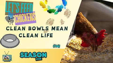 Clean Bowls Mean Clean Life | Let's Feed the Chickens | E141