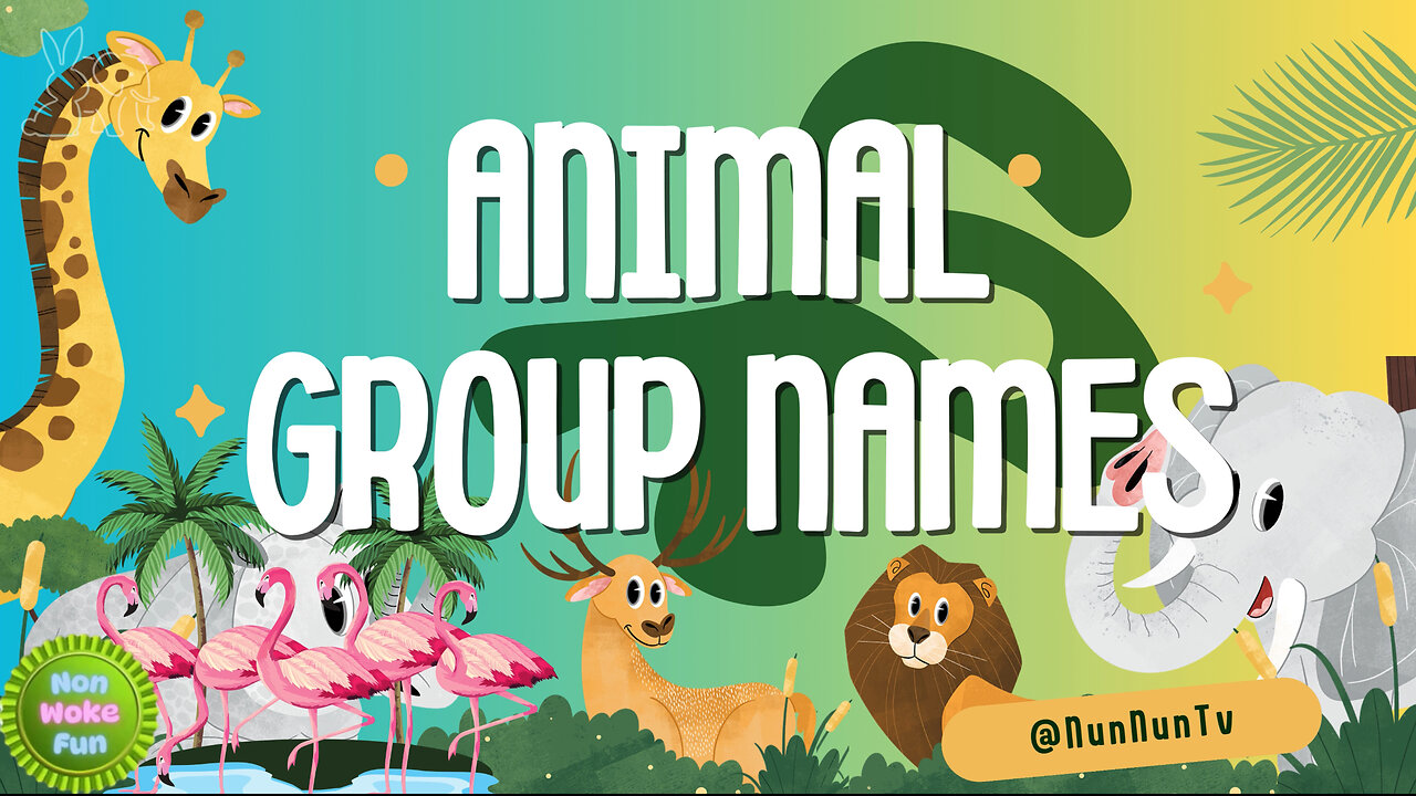 27 Amazing Animal Group Names You Never Knew!