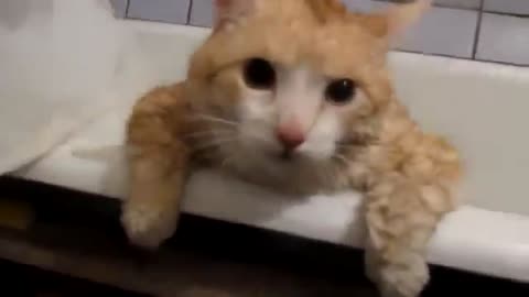 Defeat