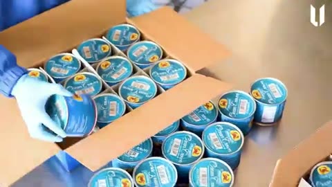 How White Chocolate is Made in a Factory | Step by Step Process