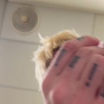 Ep. 137 "We Really Ballin with $hockoebottomboy$" by Patrick Henry The Batman